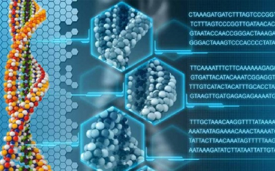Трифосфаты: стандартные, модифицированные, Li⁺, Na⁺, K⁺ соли...