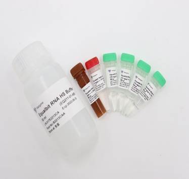 Набор для количественного определения РНК Equalbit RNA HS (High Sensitivity) Assay Kit, Vazyme, Китай