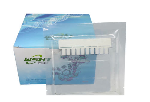 Гель для электрофореза белков полиакриламидный готовый Precast gel Plus, 1 мм, 10 лунок, 10% Tris-Gly