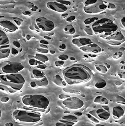 Мембранный фильтр, d пор 0,45 мкм, d мембраны 47 мм, полиэфирсульфон (PES), 100 шт/уп