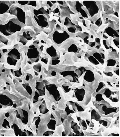 Мембрана, d пор 0,45 мкм, d мембраны 47 мм, смешанные эфиры целлюлозы (MCE Grid), гидрофильная, стерильная, 100 шт