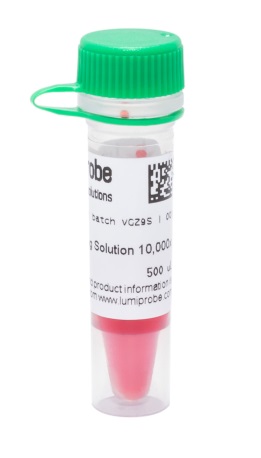 Краситель dsSafe раствор для окрашивания нуклеиновых кислот в геле, 10 000×, 500 мкл, Lumiprobe