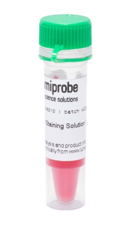 Краситель dsSafe раствор для окрашивания нуклеиновых кислот в геле, 10 000×, 500 мкл, Lumiprobe