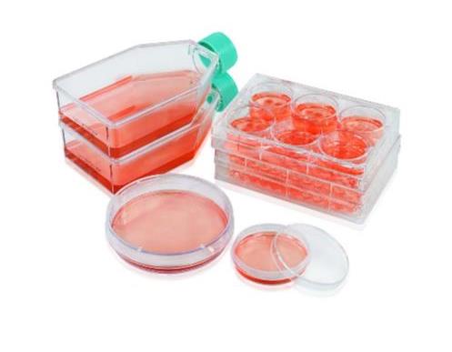 Планшеты культуральные 6-луночные с низкой адгезией, 3DSphearo, 1 уп./60 шт., Jet Biofil