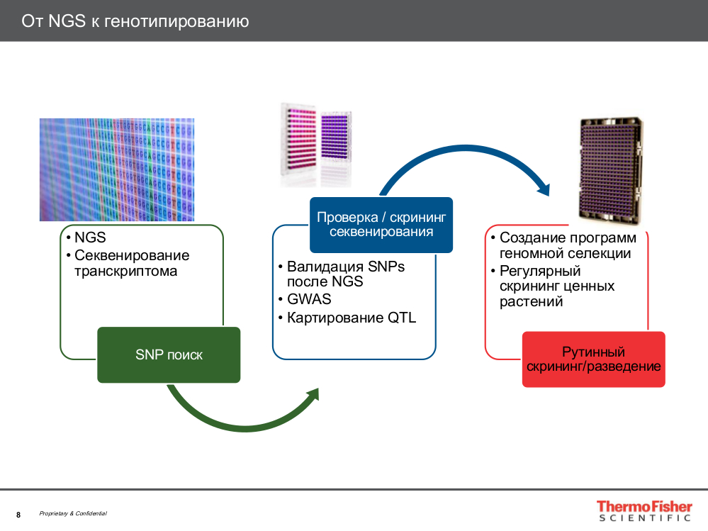 От NGS к генотипированию