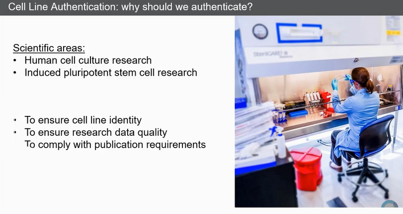 Интерес к капиллярному секвенированию Интерес к капиллярному секвенированию