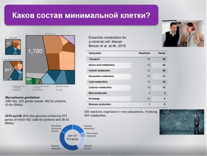 состав минимальной клетки.jpg