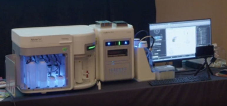 Вода течёт вверх: тонкослойная хроматография