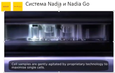 Система Nadia и Nadia Go