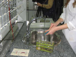 Ручная очистка лабораторного стекла