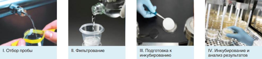 Этапы микробиологического анализа методом мембранной фильтрации Этапы микробиологического анализа методом мембранной фильтрации