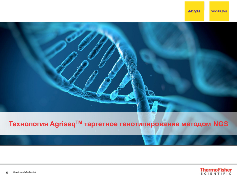 Рутинное генотипирование AgriSeq и селекция растений