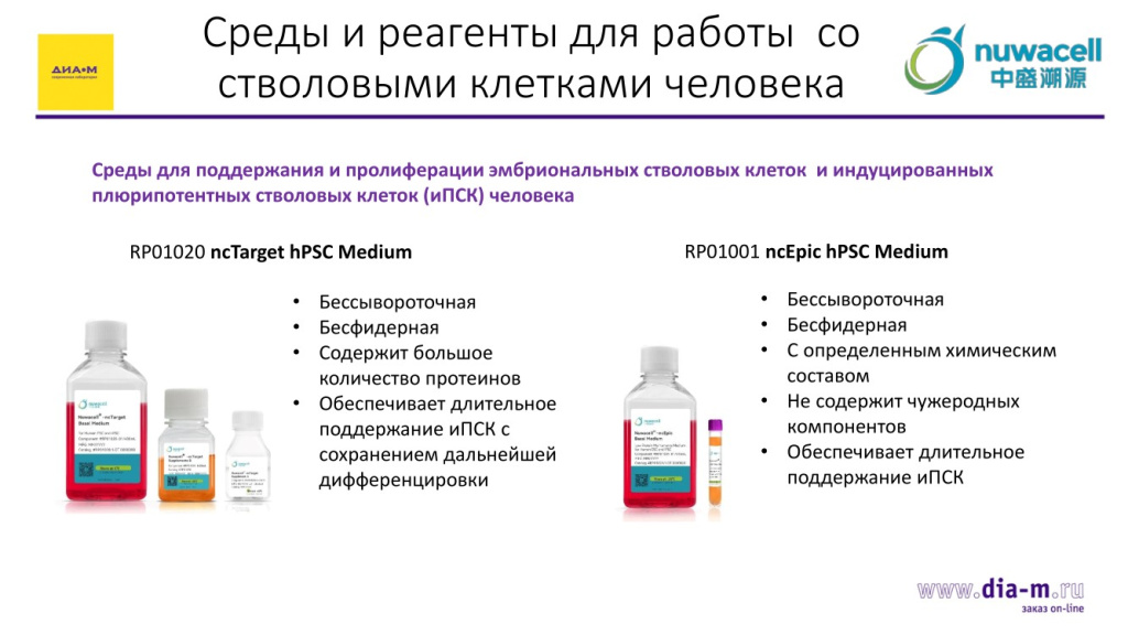 Среды и реагенты для работы со стволовыми клетками челвоека-2