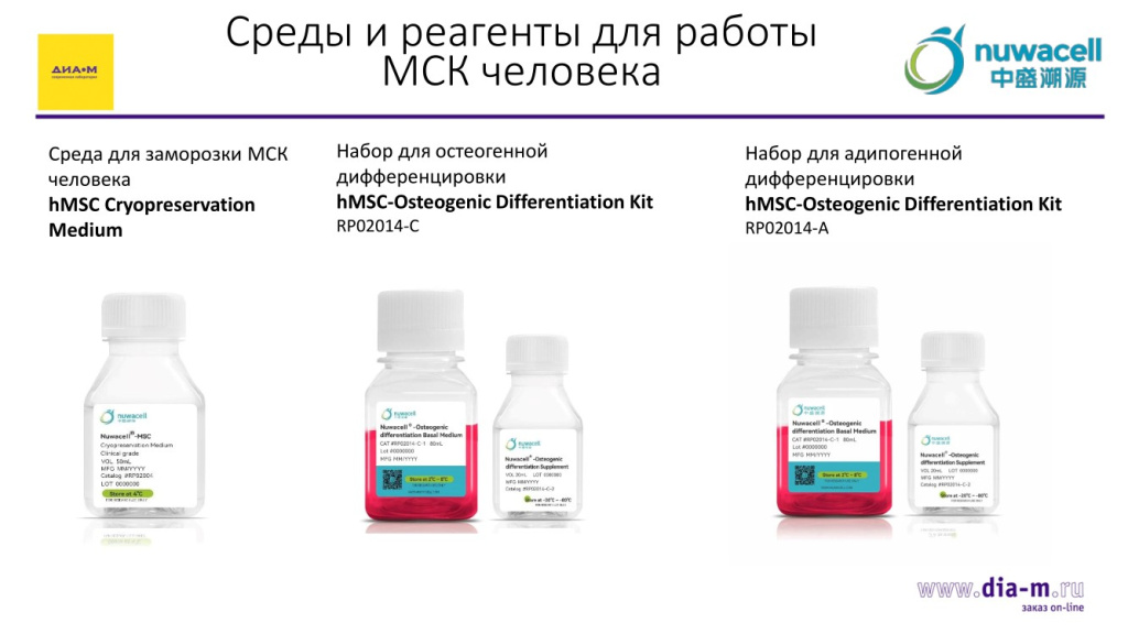 Среды и реагенты для работы МСК человека-1