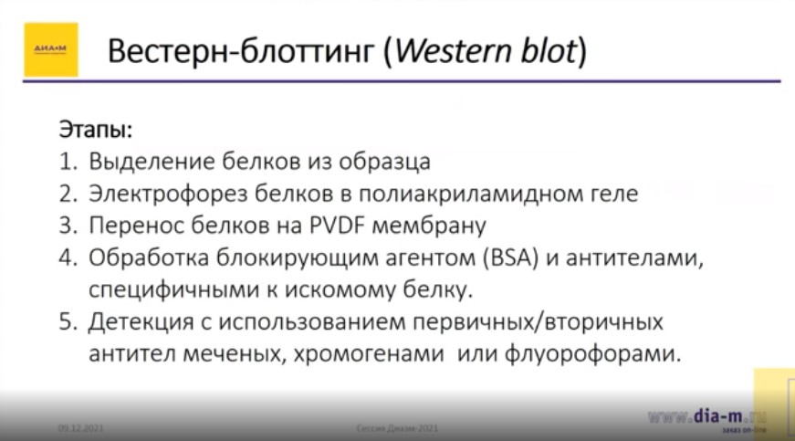 Вестерн-блоттинг этапы Вестерн-блоттинг этапы