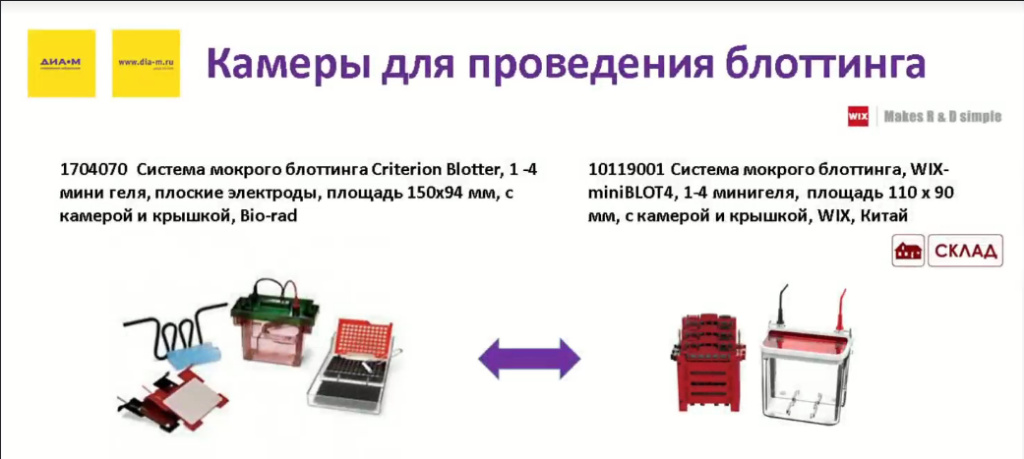 Камеры для проведения блоттинга Камеры для проведения блоттинга