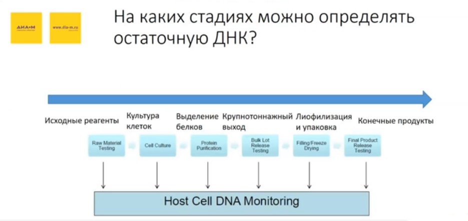 На каких стадиях можно определять остаточную ДНК?
