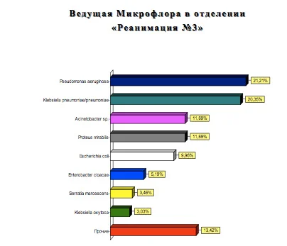 microb-6.jpg