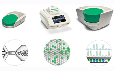 Вебинар Диаэм Bio-Rad Цифровая ПЦР: основы, преимущества и уникальные применения