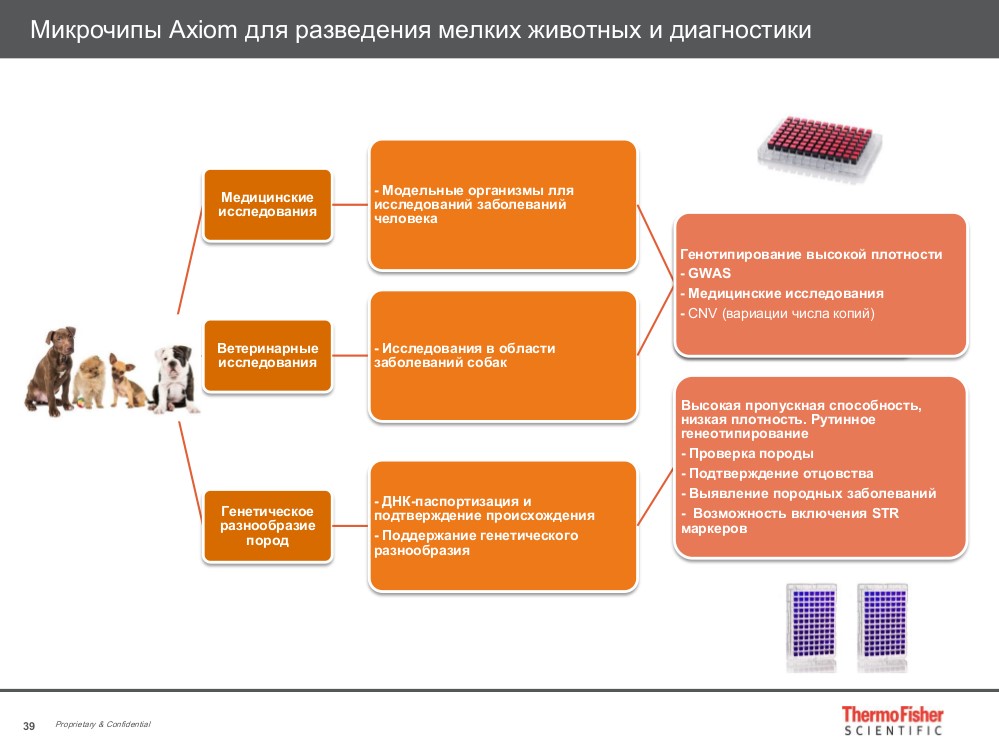 Микрочипы Axiom