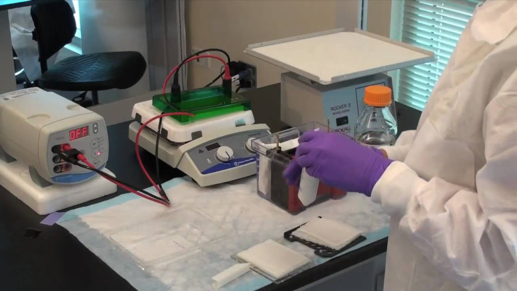 Блоттинг: как сделать рутинный блоттинг проще? Блоттинг: как сделать рутинный блоттинг проще?