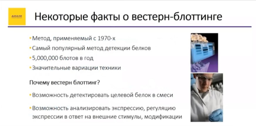 Некоторые факты о вестерн-блоттинге Некоторые факты о вестерн-блоттинге
