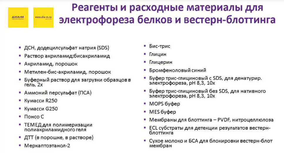 Реагенты и расходные материалы для электрофореза белков и вестерн-блоттинга