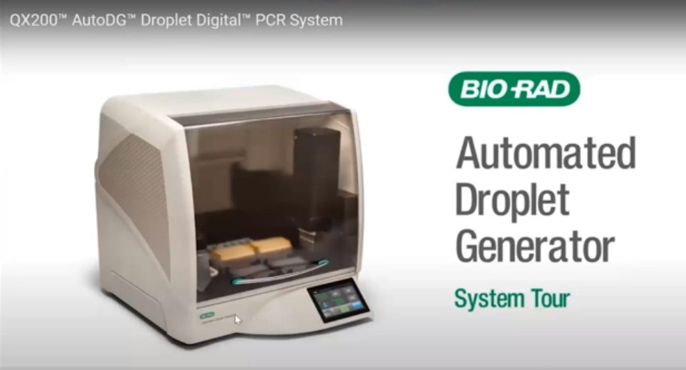 Как работает система Bio-Rad QX200 с наборами Как работает система Bio-Rad QX200 с наборами