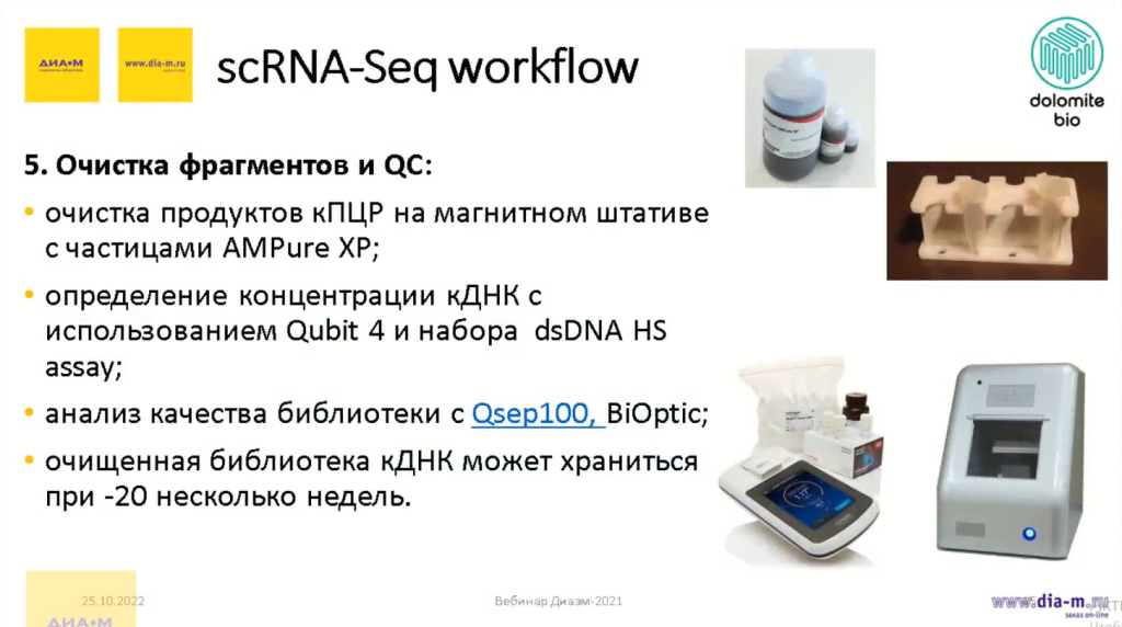 scRna-Seq workflow-5
