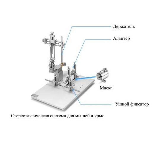 Комплектующие стереотаксической системы, RWD Life Science, Китай
