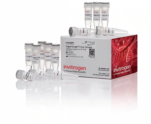 Набор SuperScript First-Strand Synthesis System for RT-PCR
