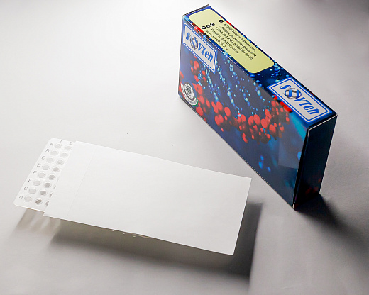 Пленка для ПЦР планшетов, для культуры клеток и тканей, газонепроницаемая, 100 шт./уп., Россия