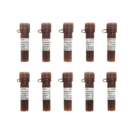 Реагент для удаления микоплазмы, 100x, 10x1 мл, G4006-10ML, Servicebio