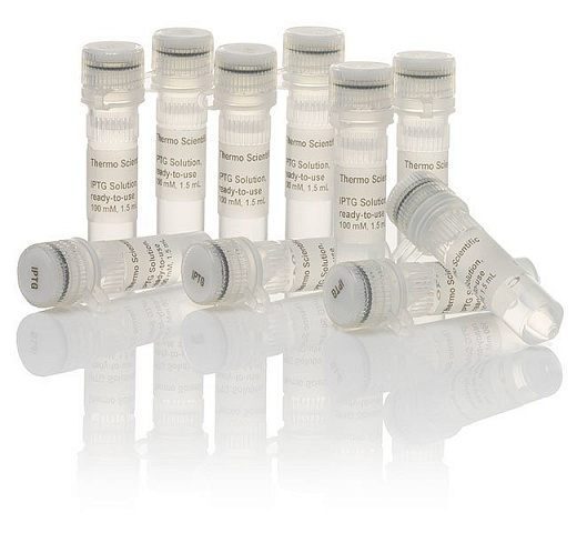 ИПТГ (Изопропил-бета-D-тиогалактопиранозид), раствор, готовый к применению