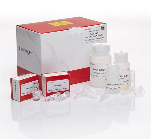 Набор PureLink Viral RNA/DNA Mini Kit, Thermo FS