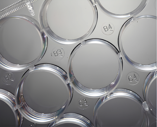 Буквенно-цифровая маркировка на дне планшета (крупный план)