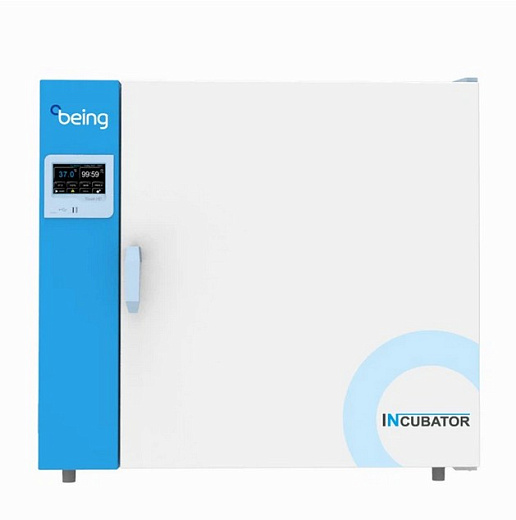 Термостат, до +80 °С, 67 л, камера из нержавеющей стали, touch screen контроллер, принудительная вентиляция, Being, Китай