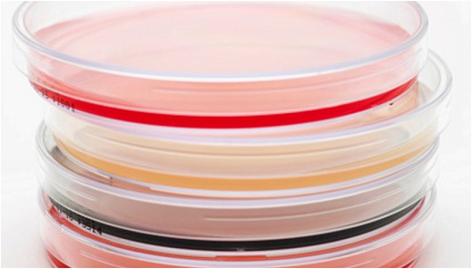 Чашки Петри 90 мм c агаром Макконки с 0,15% солей желчных кислот, CV и NaC, тройная упаковка, TM Media