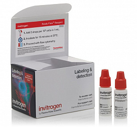 Набор SYTOX AADvanced  Ready Flow Reagent, для проточной цитометрии, 2х2,5 мл, 120 тестов