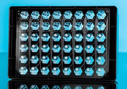 Планшет 48-лун. с лепестковыми лунками Flower Plate, микрофлюидный, розрачное дно, без оптодов, 1 шт. Фото 1