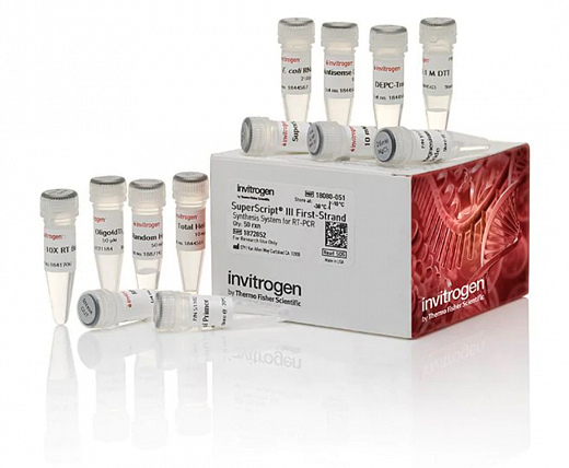 Набор SuperScript III First-Strand Synthesis System
