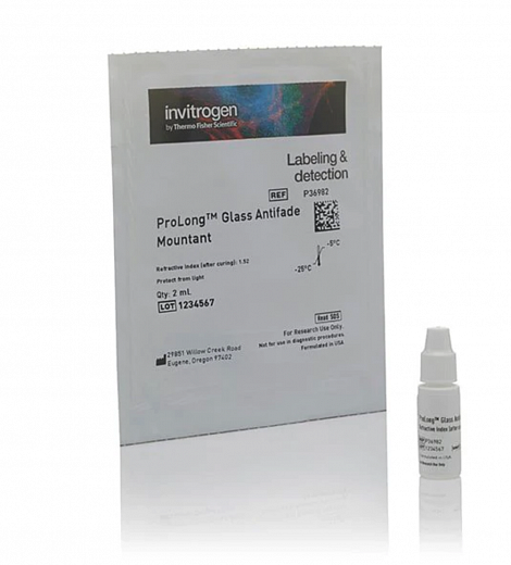 Реагент, препятствующий выцветанию ProLong Glass Antifade Mountant