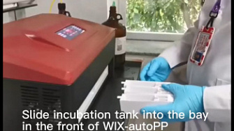 Режим промывки системы аттического вестерн-блоттинга WIX-autoPP, WIX, англ., 2024 г.