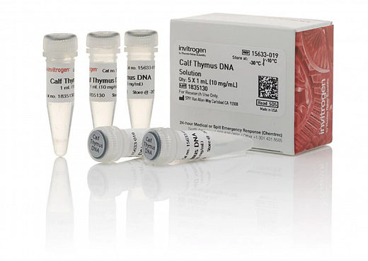 Раствор ДНК тимуса теленка/ Calf Thymus DNA Solution