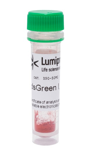 Краситель dsGreen для прокраски гелей, тв.форма, Lumiprobe