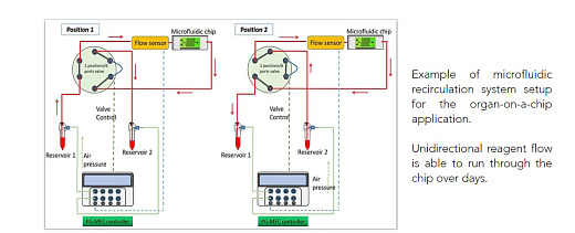 Система перфузии iFlow Organ-on-a-Chip, циркуляционная конфигурация (схема)