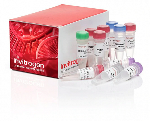 Набор для клонирования TOPO TA Cloning Kit for Sequencing, компетентные клетки не включены