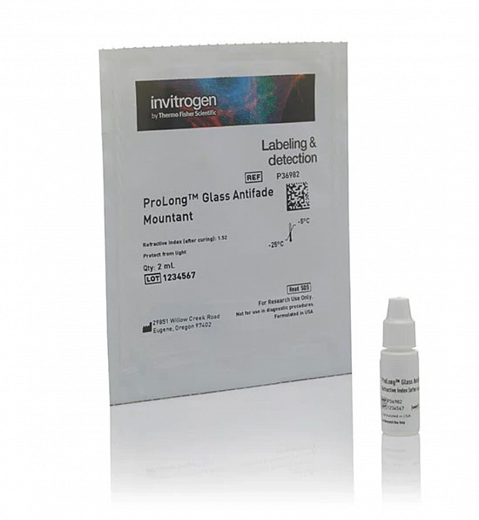 Реагент, препятствующий выцветанию ProLong Glass Antifade Mountant с красителем NucBlue
