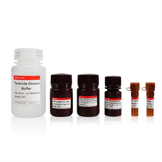 Флуоресцентный набор для двойного окрашивания (IF488+ Red IF555) TSAPLus, Servicebio, Китай