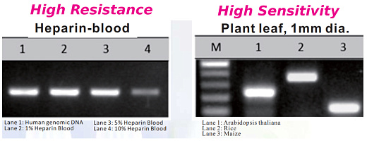 Результаты ПЦР ДНК из образцов крови и растений с помощью DirectGO